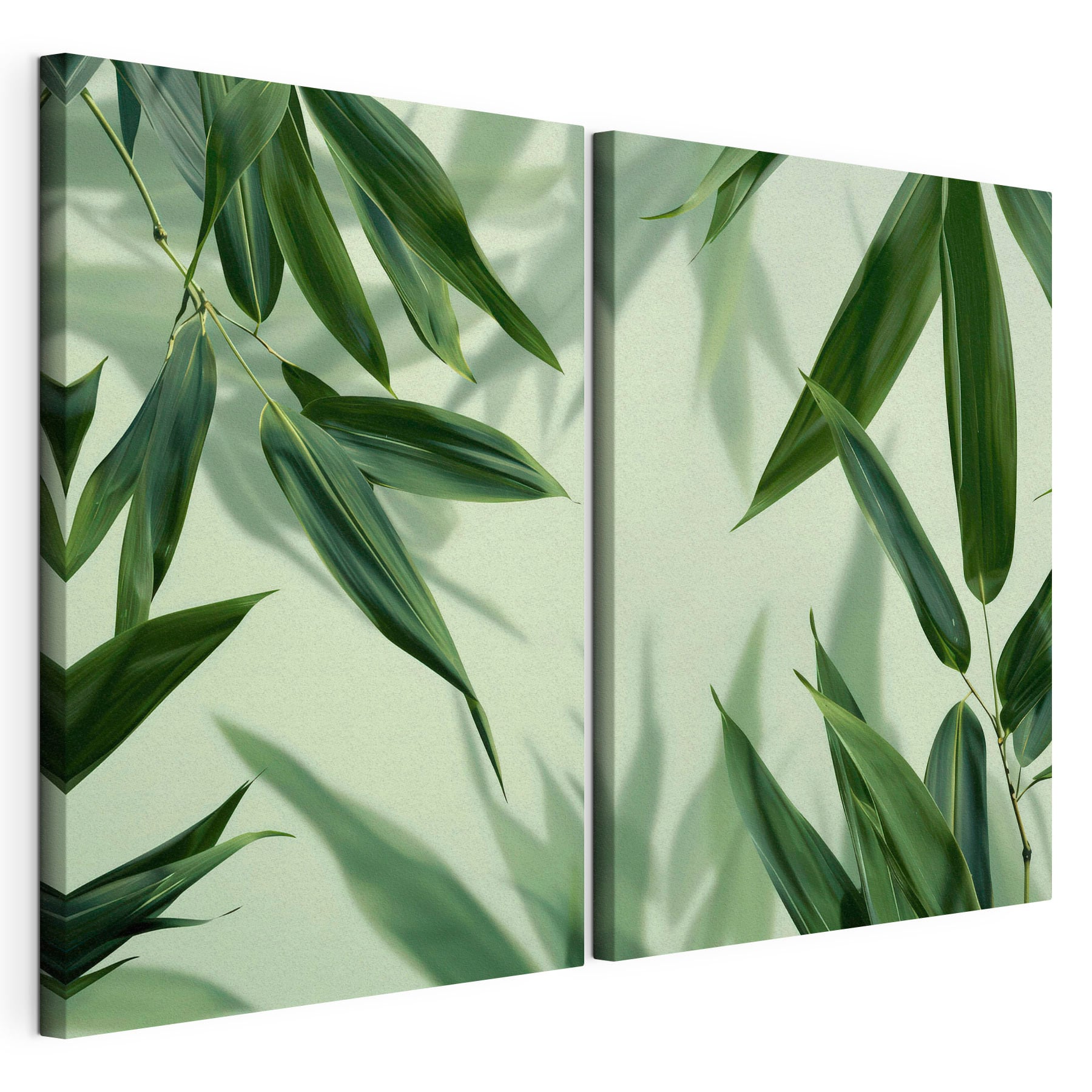 Lush green leaves against soft backdrop