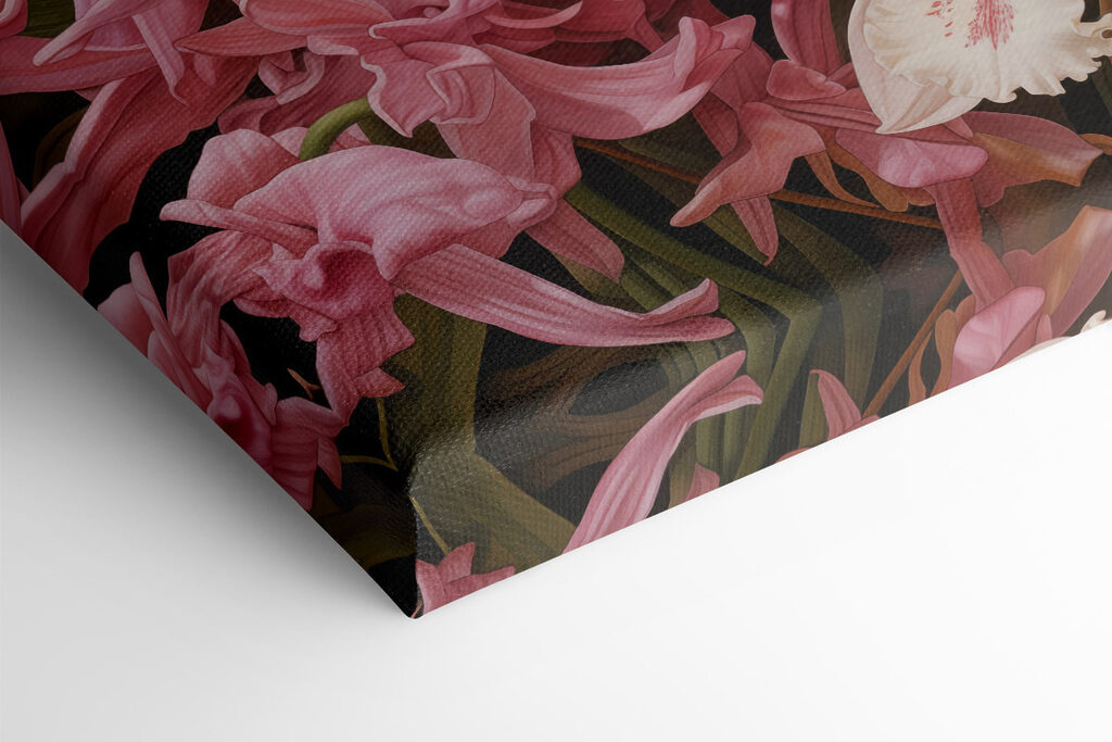 Colorful orchids in vibrant display