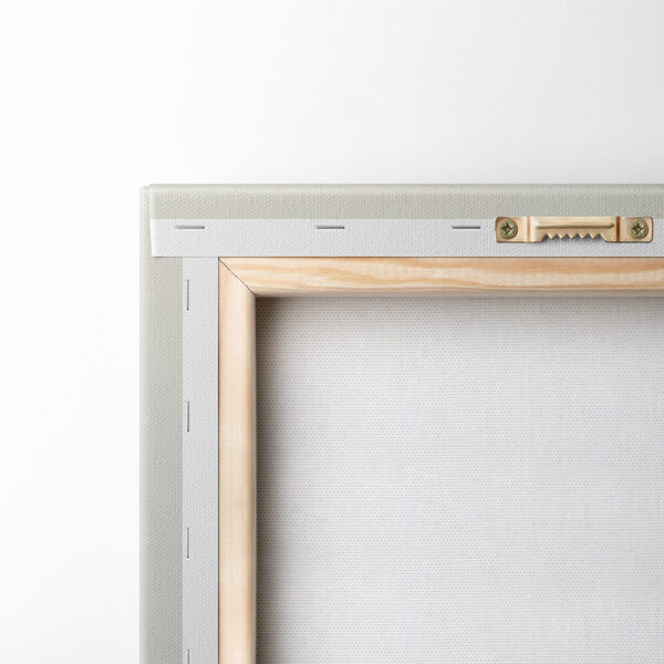 Elegant grasses for serene spaces