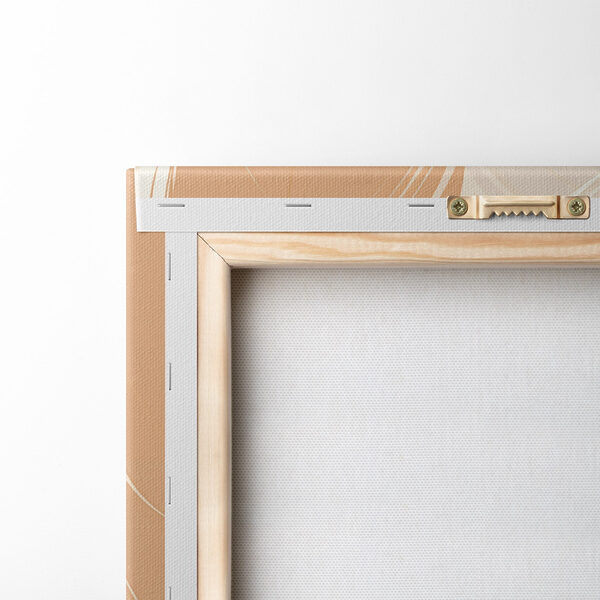 Soft hues of elegant feathers