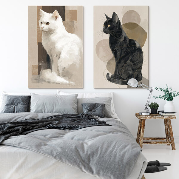 White cat and black cat