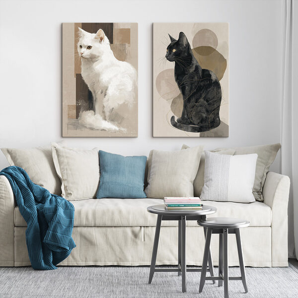 White cat and black cat