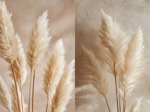 Delicate feathery plants in harmony