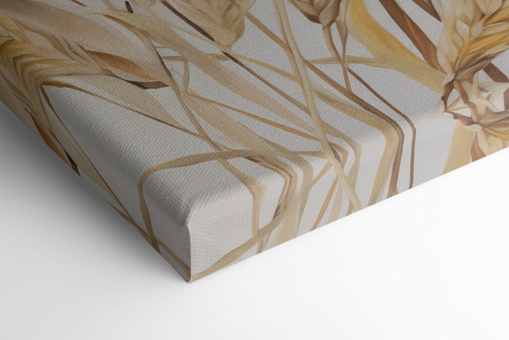 Painting of wheat on a white background