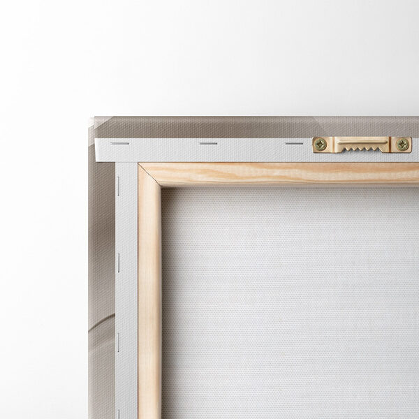 Soft curves in neutral tones