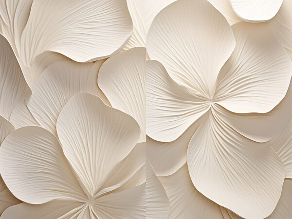 Soft petals in gentle harmony