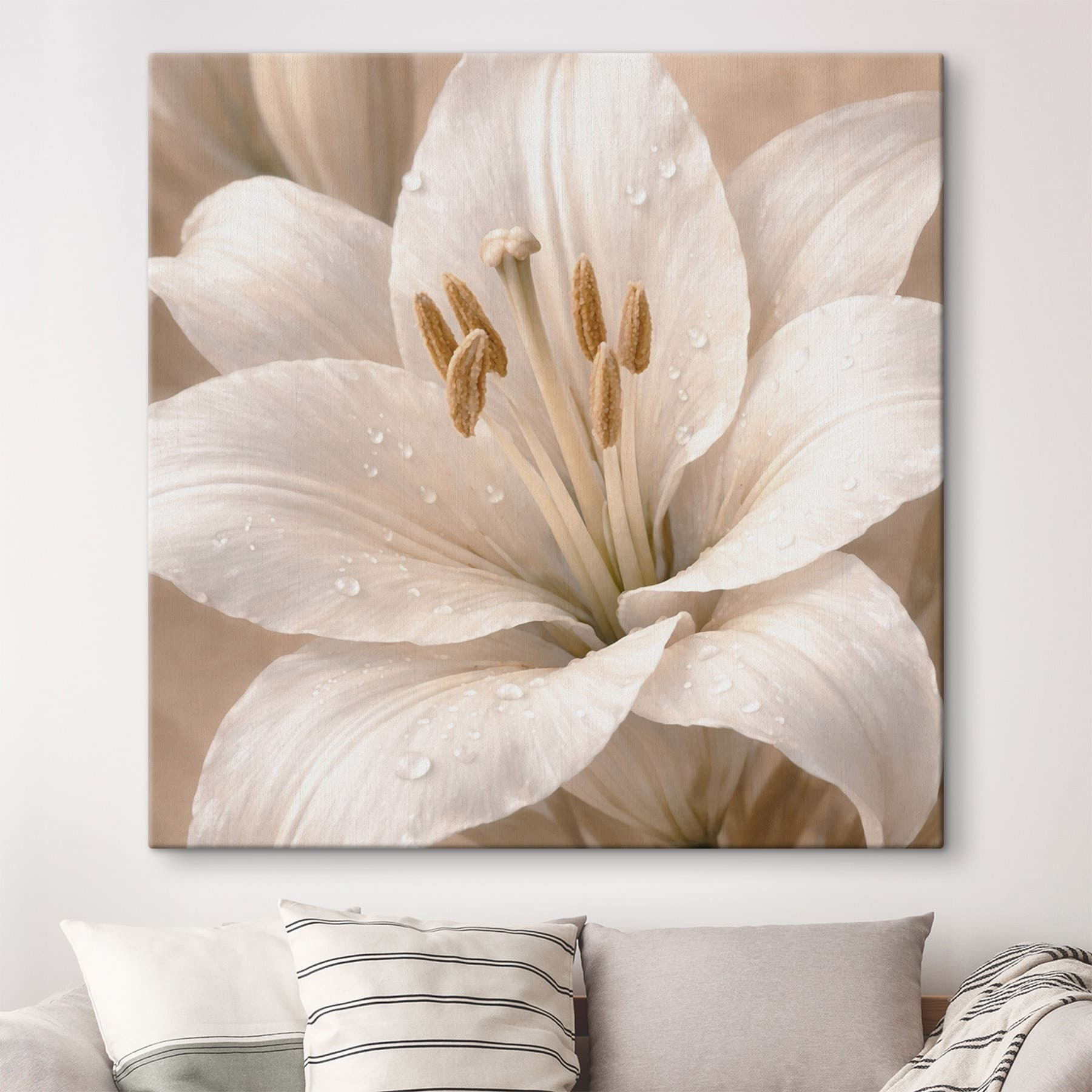 Delicate petals drenched in morning dew