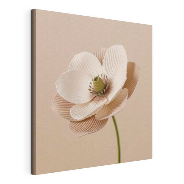 Delicate flower with soft petals